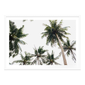 Tropical Sky Framed Print 120cm x 86cm