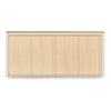 Casa Swing Door Cupboard