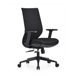 Lyra Elan Ergonomic Mesh Chair