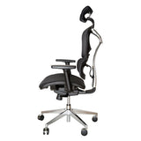 Orion Sync Mesh Task Chair