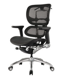 Ergo 1 Executive Office Chairs