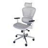 Replica Ergohuman Ergonomic Japanese Mesh Desk / Office Chair
