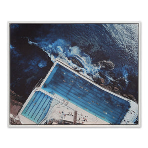 Iceberg\'s Swimmers Framed Canvas 120cm x 95cm