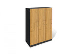 Activity Based Working Storage Locker