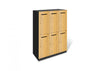 Activity Based Working Storage Locker