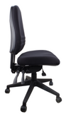 Endeavour Pro Ergo Chair