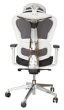 Ergohuman Plus Replica