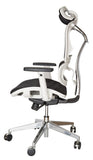Ergohuman Plus Replica