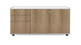 Mobile Pedestal + Cupboard