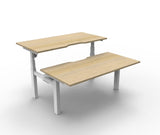 New Paramount Back to Back Electric Sit to Stand Workstation