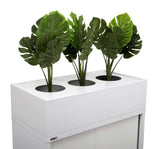 Planter Box