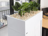 Planter Box