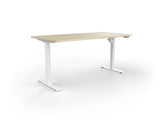 Orion Sync Mesh Task Chair