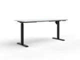 Quick Stand Desk