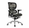 Ergo 1 Executive Office Chairs
