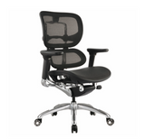 Ergo 1 Executive Office Chairs