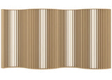 Curved Snake Slat Wall