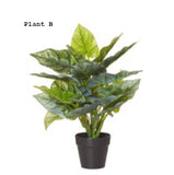 Orion Sync Mesh Task Chair