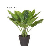 Orion Sync Mesh Task Chair